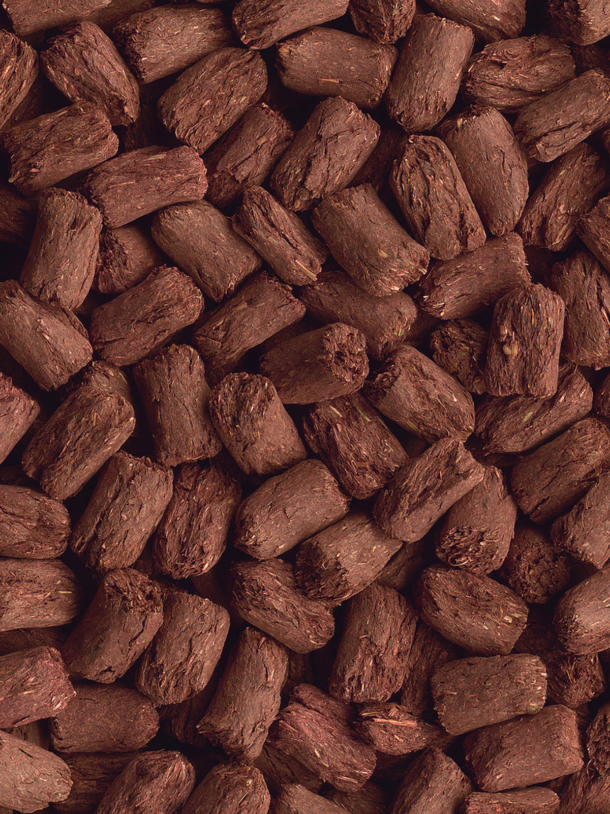 Tetra Tortoise корм для сухопутных черепах 250 мл