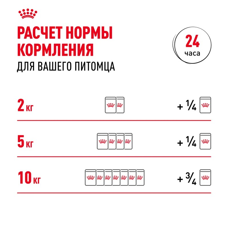Влажный корм Royal Canin Mini Adult для взрослых собак мелких размеров от 10 месяцев, кусочки в соусе 85гр