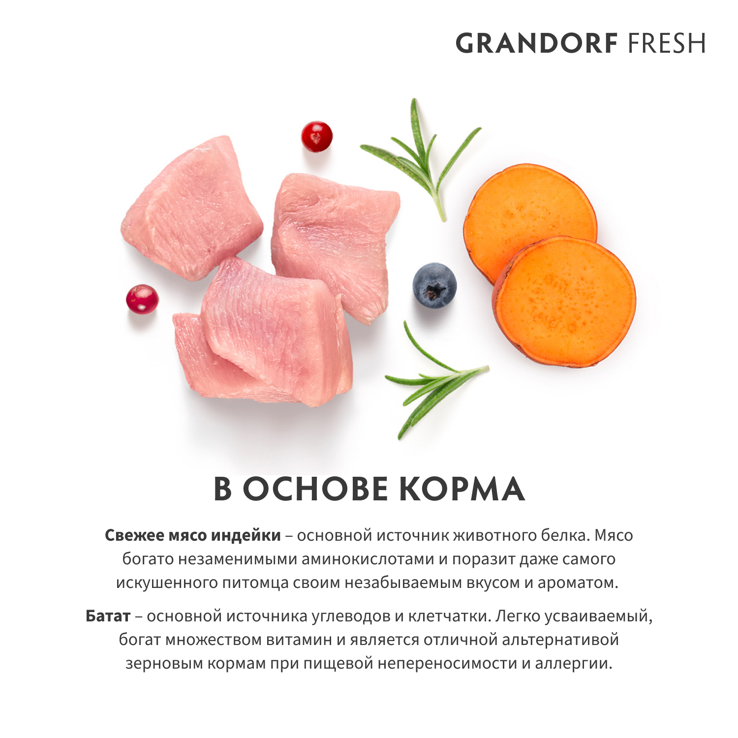 Grandorf Fresh Grandorf Сухой беззерновой корм для мелких собак с индейкой 1 кг 5407007852796