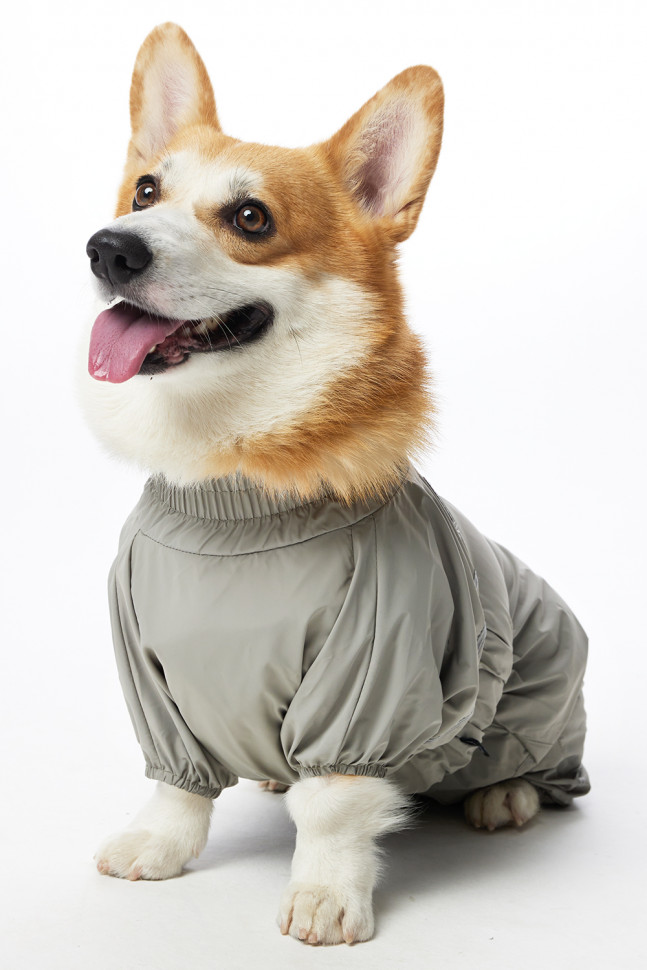 Дождевик LionPets Корги LPK-9125-133 на мальчика Цвет: Шалфей (мальчик Размер 1 (спинка 50, обхват шеи 40-50, обхват груди 50-62))