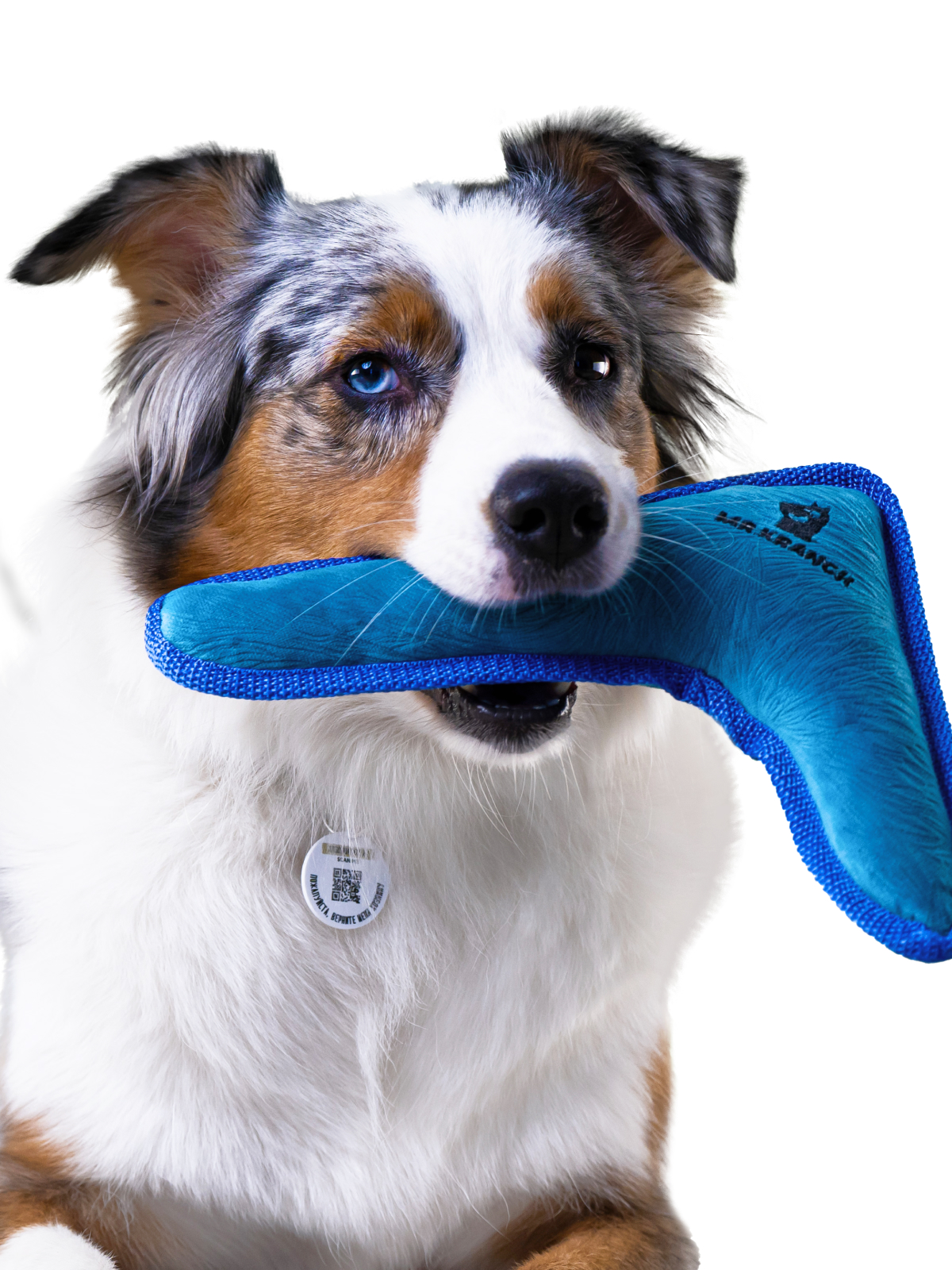 Игрушка Mr.Kranch для собак мелких и средних пород Бумеранг с пищалкой 22х19х45см синий (35017)