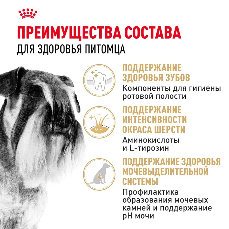 Сухой корм для собак Royal Canin Miniature Schnauzer Adult, для Миниатюрный Шнауцер 3 кг