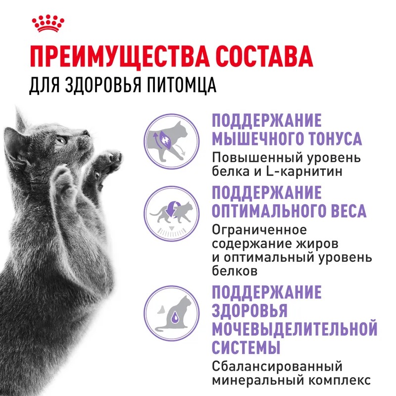 ROYAL CANIN корм сухой для стерилизованных кошек 4 кг 4627109380213