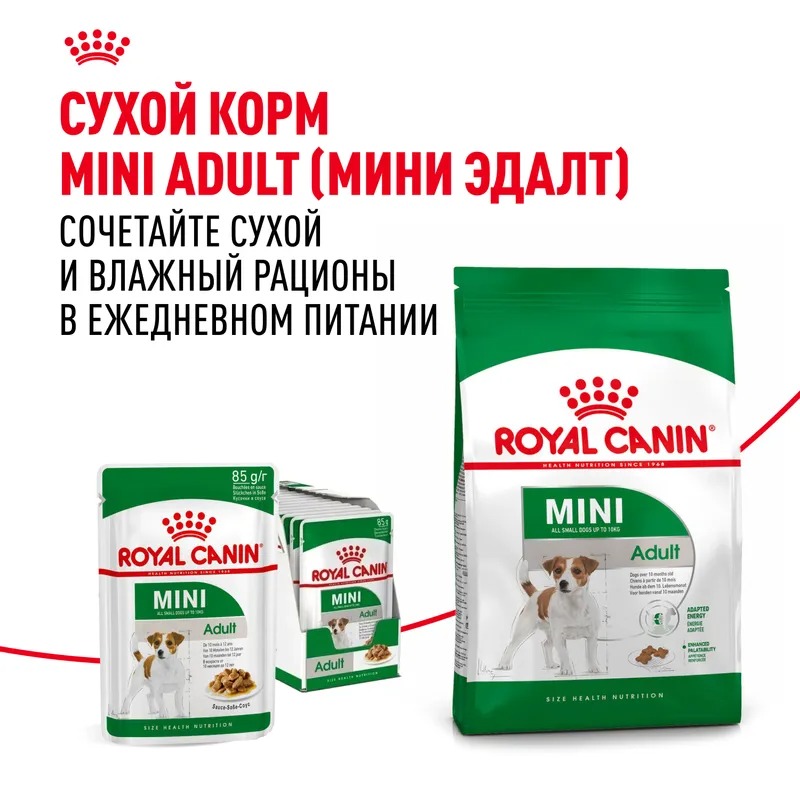 Влажный корм Royal Canin Mini Adult для взрослых собак мелких размеров от 10 месяцев, кусочки в соусе 85гр