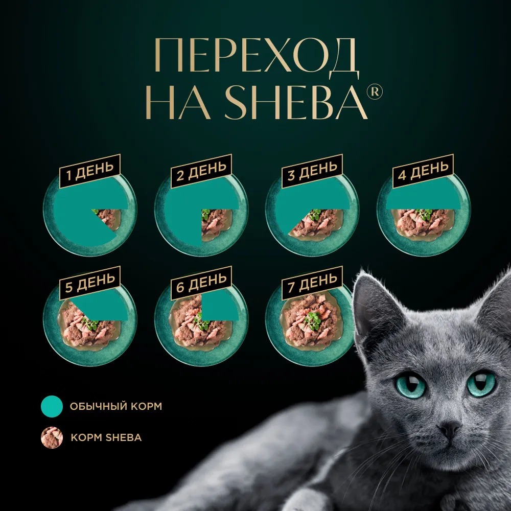 Sheba Влажный корм для кошек, курица в соусе, 75гр