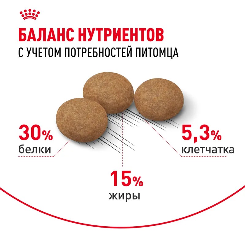 ROYAL CANIN Ageing 12+корм для стерилизованных стареющих кошек 400 гр 4627109380176