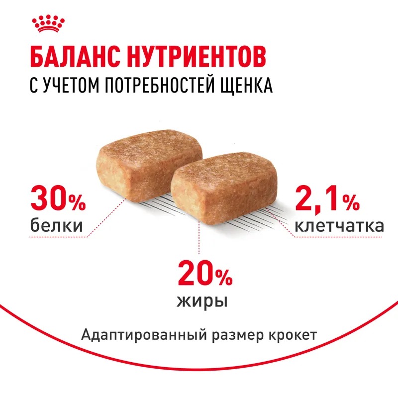 Royal Canin Сухой корм для щенков  Chihuahua Puppy, для породы Чихуахуа 1,5 кг