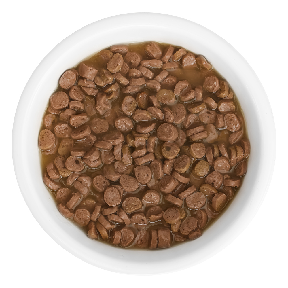 Florida Влажный корм котят с лососем в соусе 85г-1шт 4609791520733