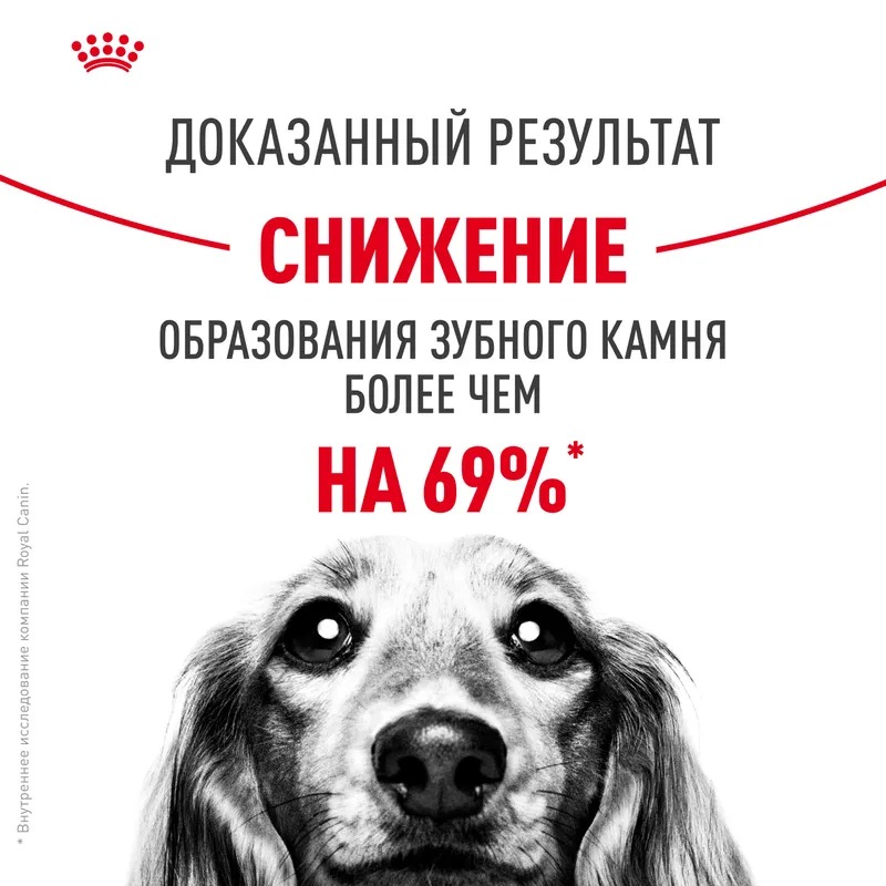 Royal Canin Сухой корм для собак  Mini Dental Care, повышенная чувствительность зубов 3 кг