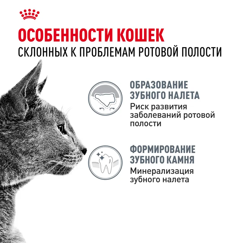 ROYAL CANIN Сухой корм для кошек Dental Care для профилактики образования зубного налета и зубного камня, 400гр