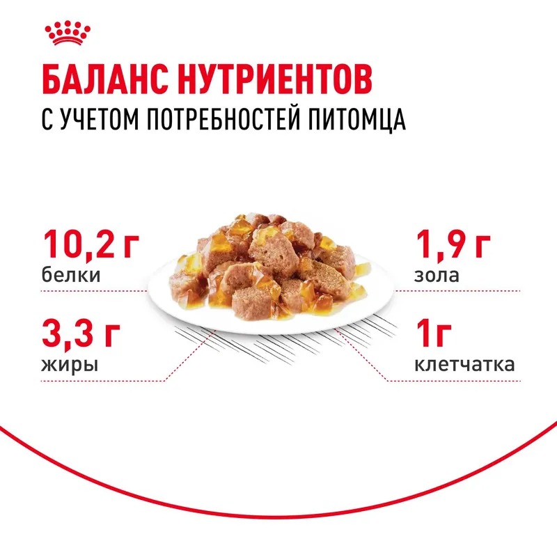 Royal Canin Indoor Sterilised 7+ Влажный корм для кошек живущих в помещении, мелкие кусочки в желе, 85гр