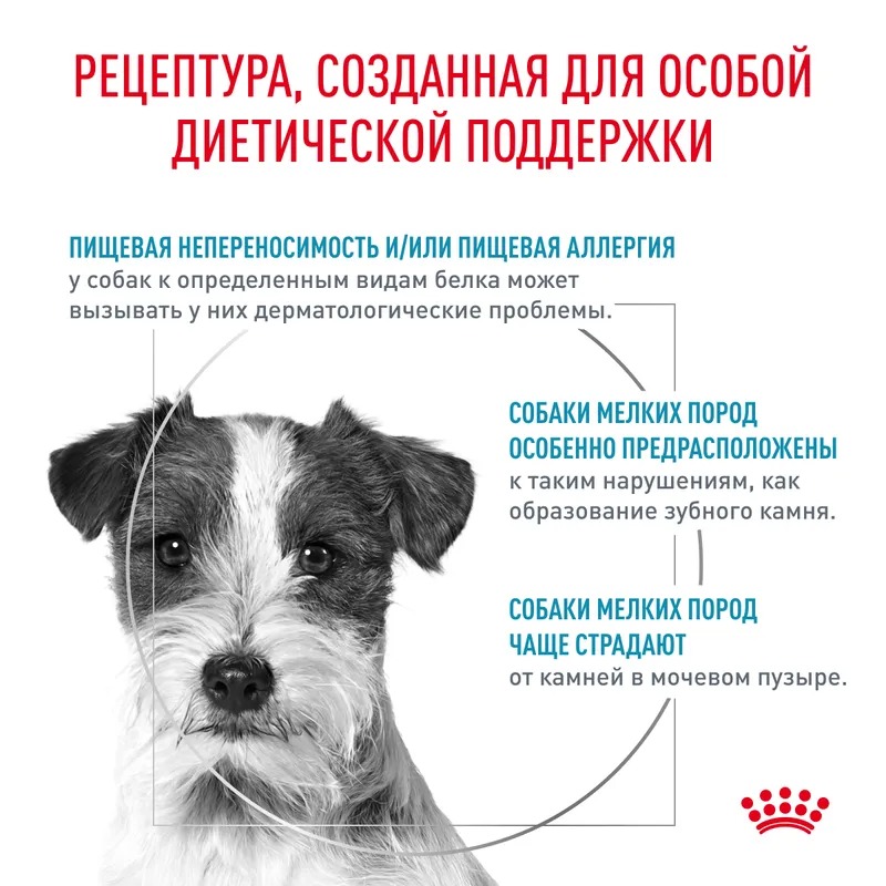 ROYAL CANIN Hypoallergenic Small Dog сухой корм для мелких собак 3,5 кг 4627109385508