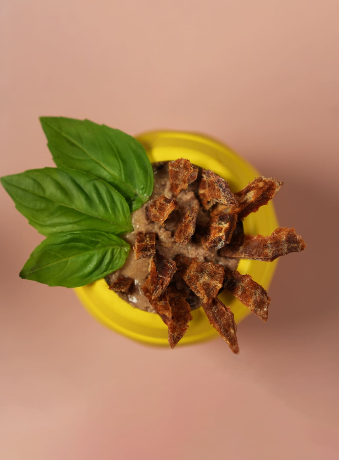 Игрушка Mr.Kranch для собак Горшочек меда 9*8 см желтая с ароматом сливок