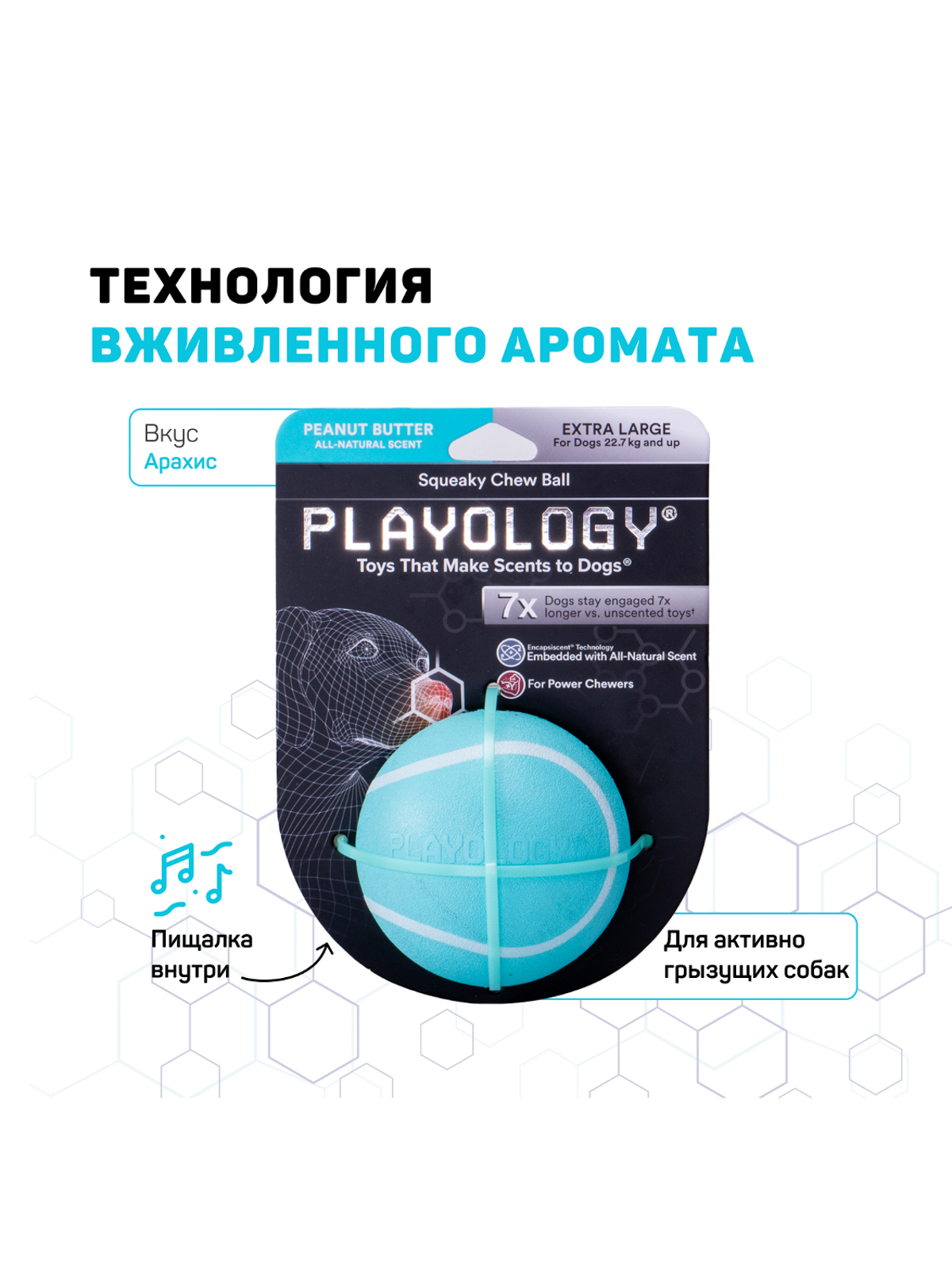 Playology  жевательный мяч SQUEAKY CHEW BALL 6 см для собак мелких и средних пород с пищалкой и с ароматом арахиса, цвет голубой