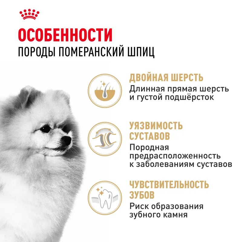 Royal Canin Сухой корм для собак  Pomeranian Adult, для породы Померанский Шпиц 500 г