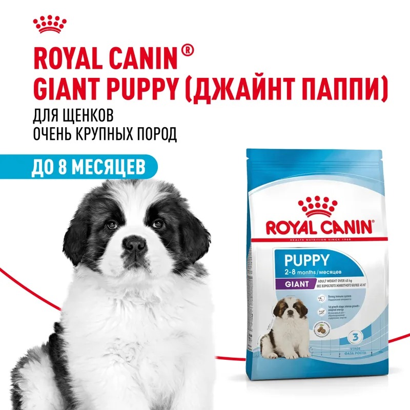 ROYAL CANIN Giant корм сухой для щенков гигантских пород 15 кг 4627109384969