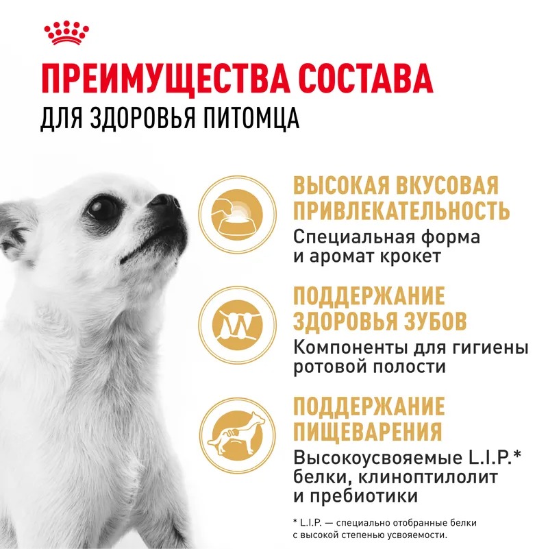 Royal Canin Chihuahua Adult Сухой корм для собак для породы Чихуахуа 1,5 кг