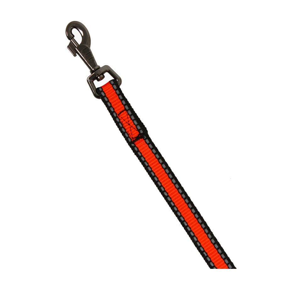 Поводок LOOK нейлон св/от 25" 1,5м ПНЛ-2515 ОРАНЖЕВЫЙ Rich Breed (PerseiLine)