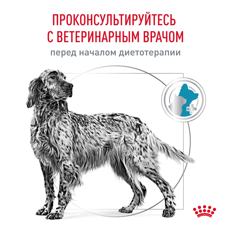 Сухой корм  Royal Canin Sensitivity Control SC 21 (Сенситивити Контрол) для собак при пищевой аллергии, 14 кг