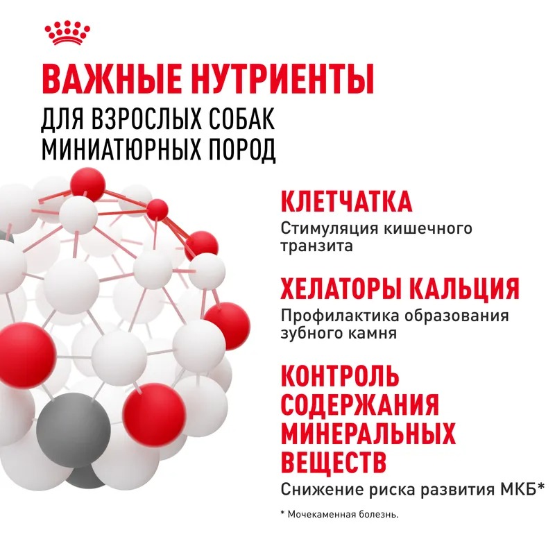 ROYAL CANIN X-Small Сухой корм для собак миниатюрных пород 3 кг 4627109386178