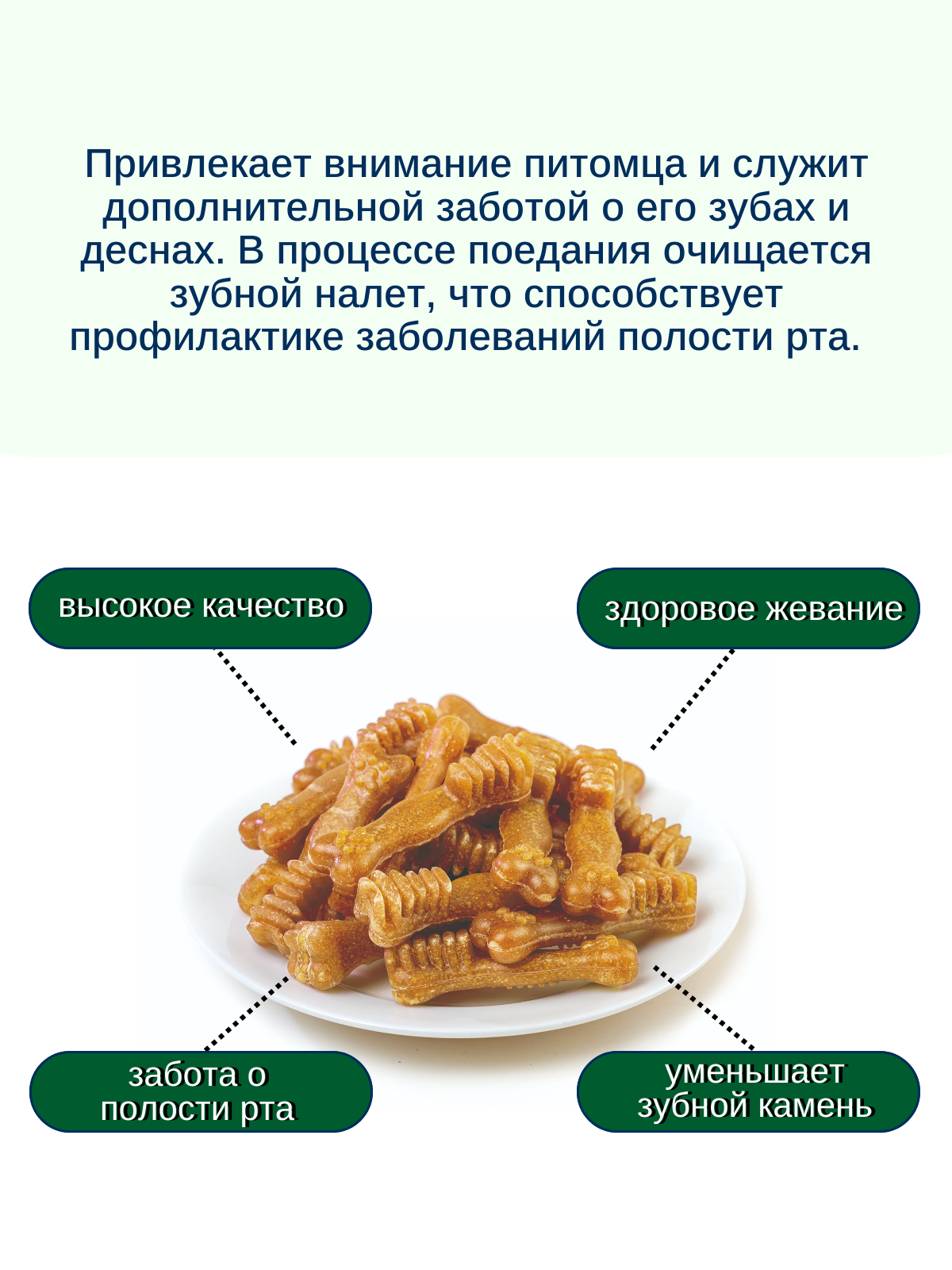 Wanpy Dog Лакомство для собак "Зубные щетки со вкусом курицы" 100 г