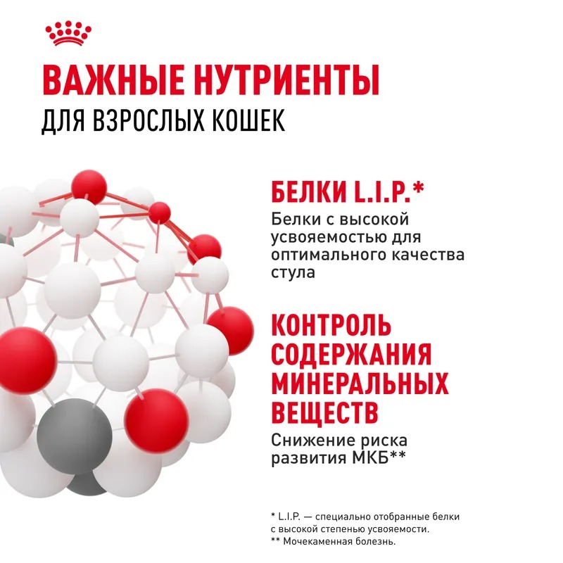 Royal Canin Indoor Sterilised Влажный корм для взрослых кошек живущих в помещении, кусочки в соусе, 85гр