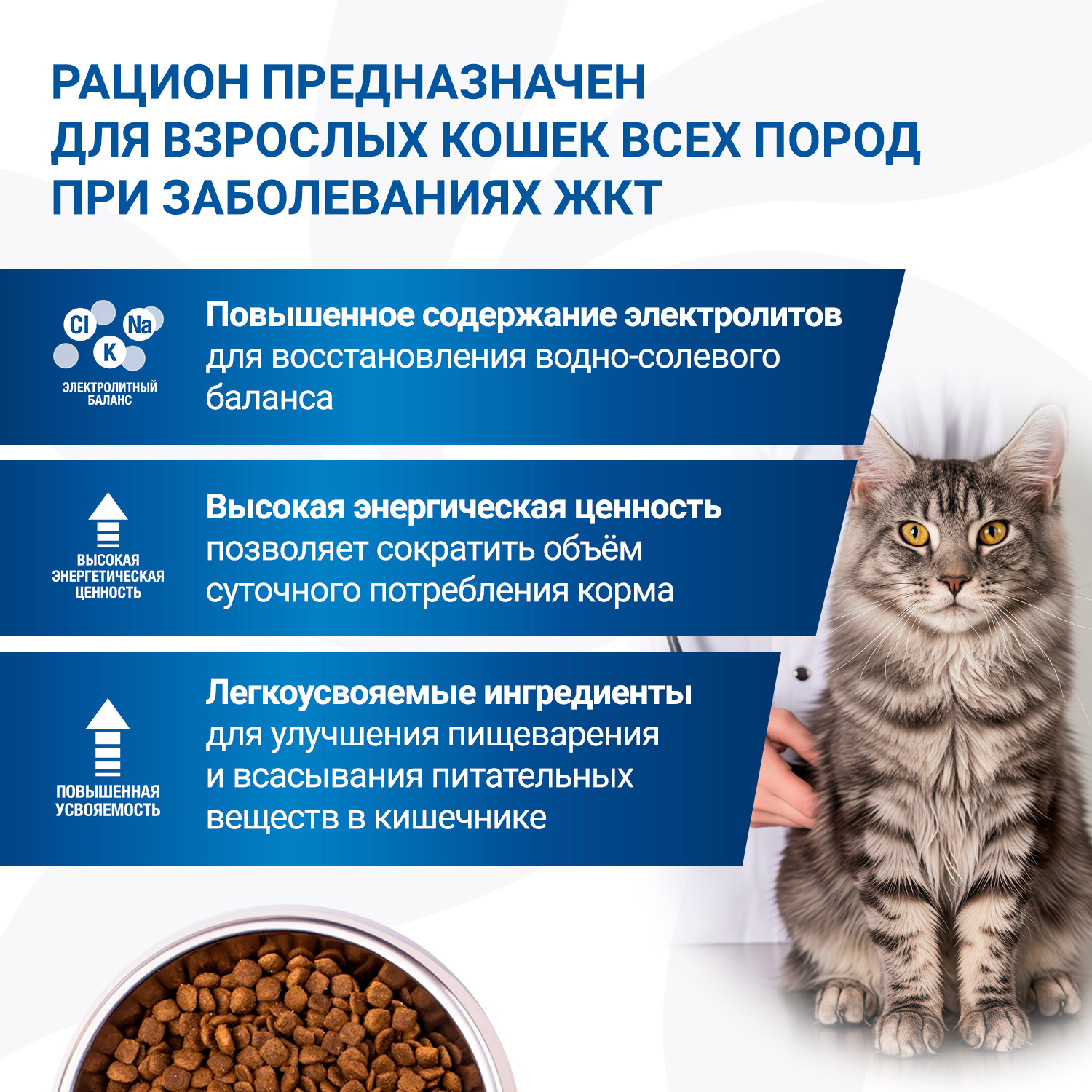 Диетический корм Monge VetSolution Cat Gastrointestinal гастро интестинал для кошек при заболеваниях ЖКТ 400 г