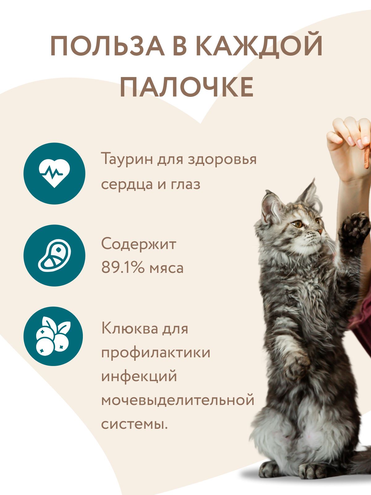 Лакомство Мнямс лакомые палочки 13,5 см для стерилизованных кошек из индейки и цыпленка 10х5 г NEW