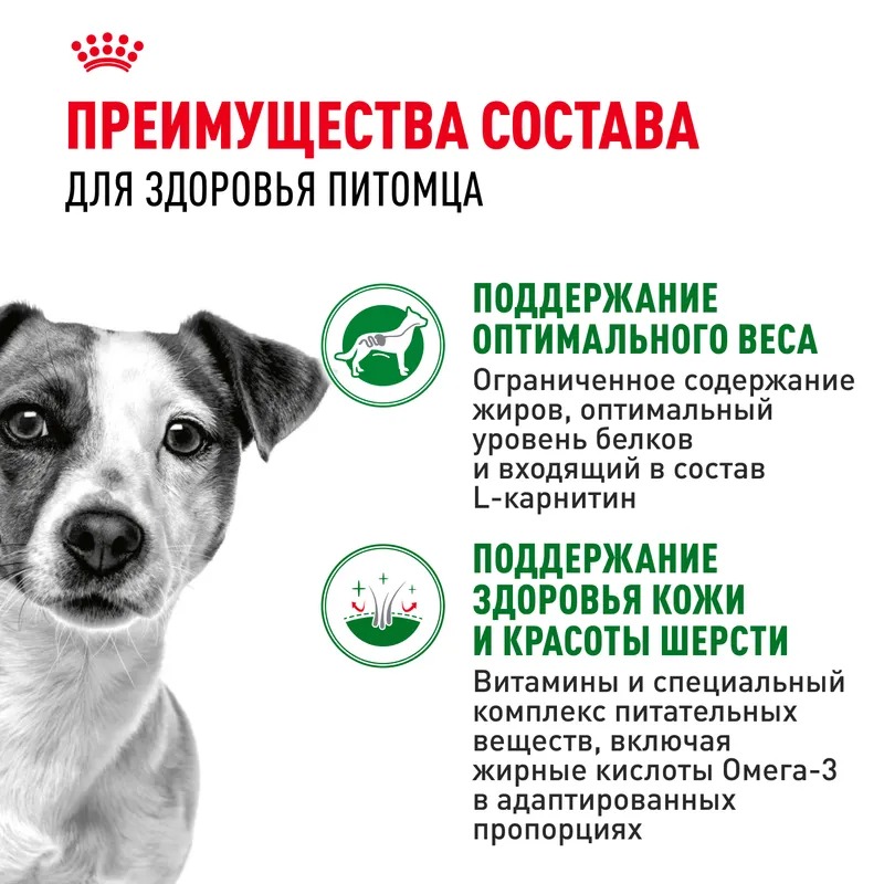 Влажный корм Royal Canin Mini Adult для взрослых собак мелких размеров от 10 месяцев, кусочки в соусе 85гр