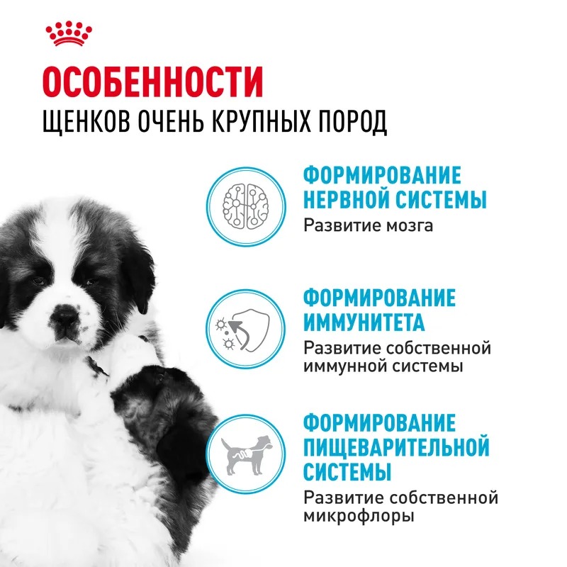 ROYAL CANIN Giant корм сухой для щенков гигантских пород 15 кг 4627109384969