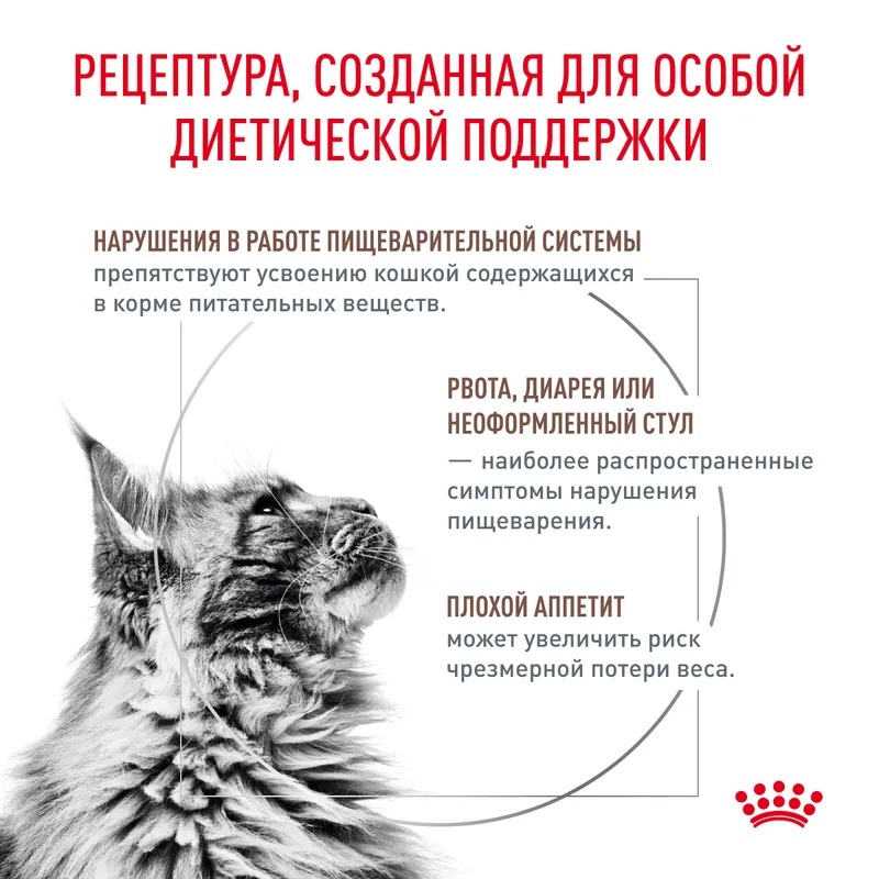 ROYAL CANIN Gastrointestinal Сухой корм для кошек 350 гр 4627109385225