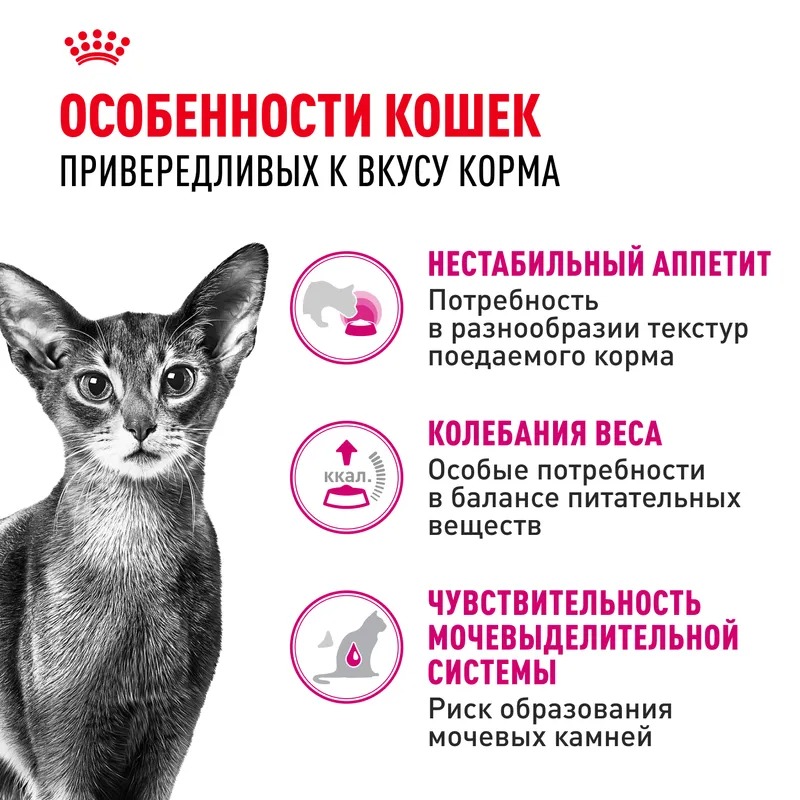 ROYAL CANIN Savour корм для привередливых кошек 4 кг 4627109380688