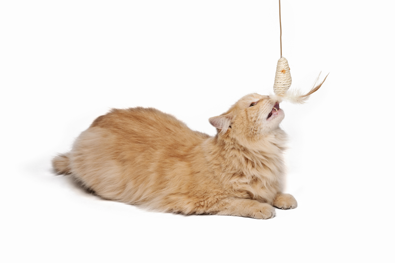 Игрушка-дразнилка для кошек NATURA мышь 35 см, Mpets 20601699