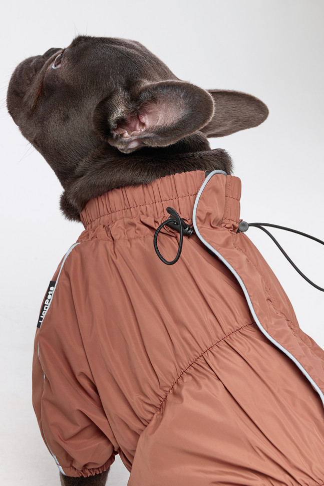 Дождевик LionPets Мопс LPK9325-128 на мальчика Цвет: Шоколадный