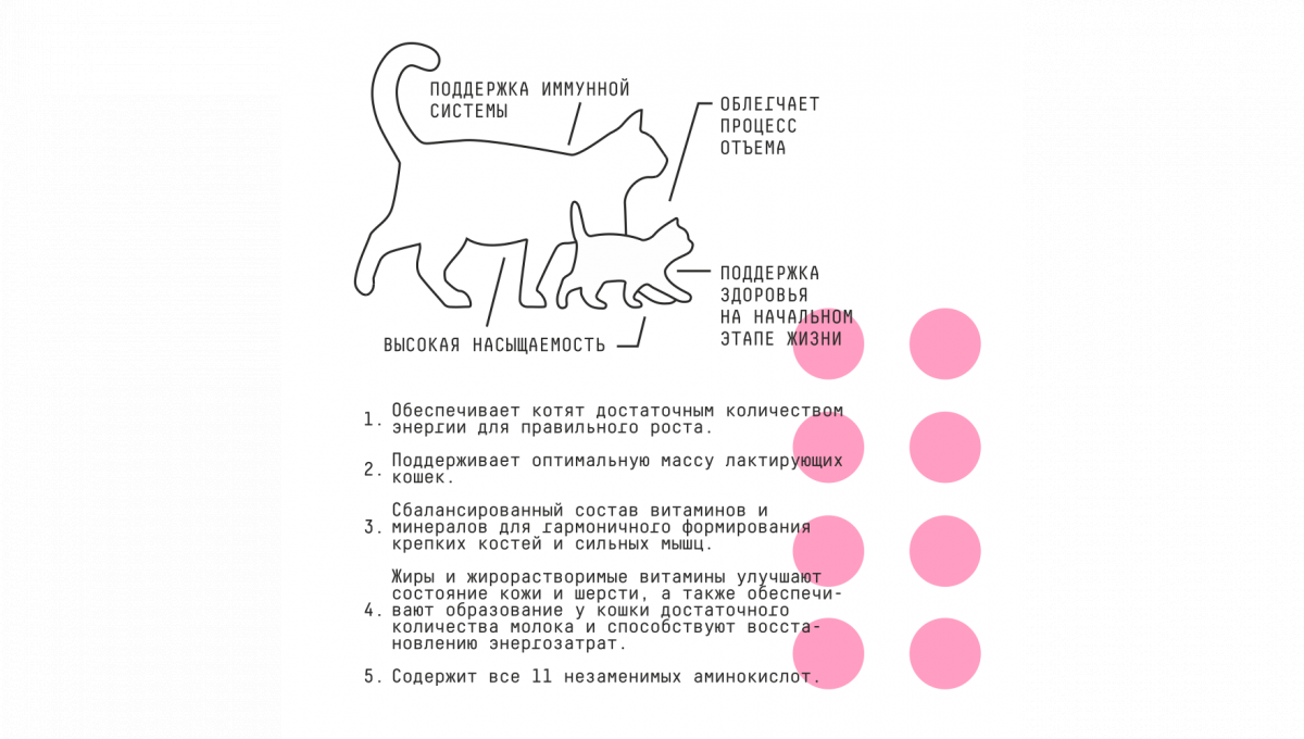 Ajo Сухой корм для котят и беременных кошек Kitten&Mom с индейкой 10 кг 4630169560037