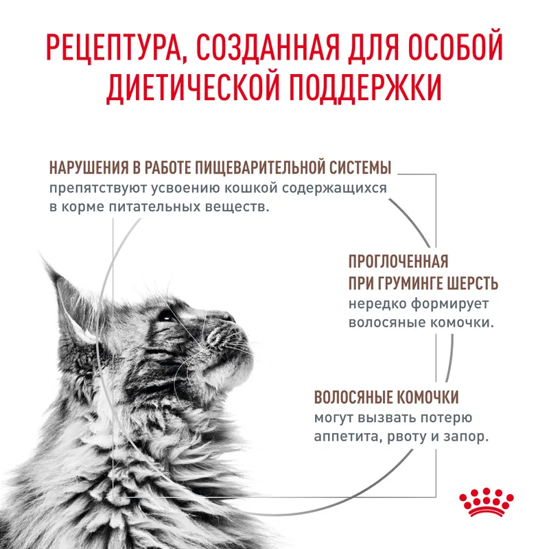 Royal canin Сухой корм для кошек Royal Canin Gastrointestinal Hairball, для профилактики образования волосяных комочков 350гр