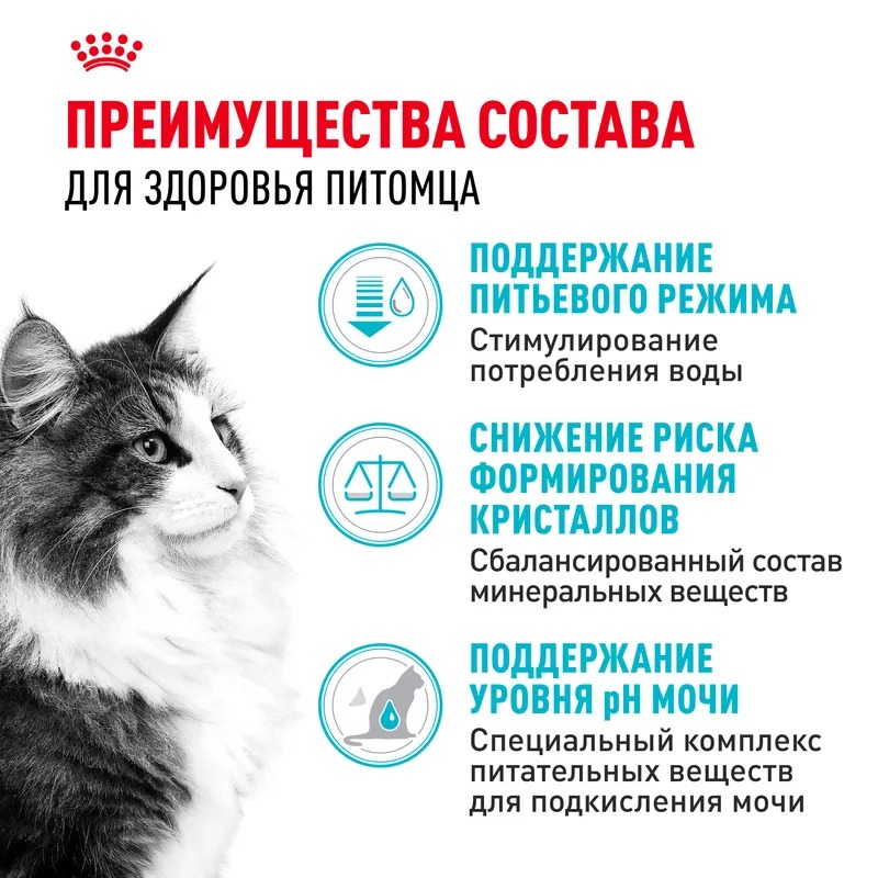 ROYAL CANIN Urinary Care Корм сухой диетический для кошек при МКБ 2 кг 4690553016588