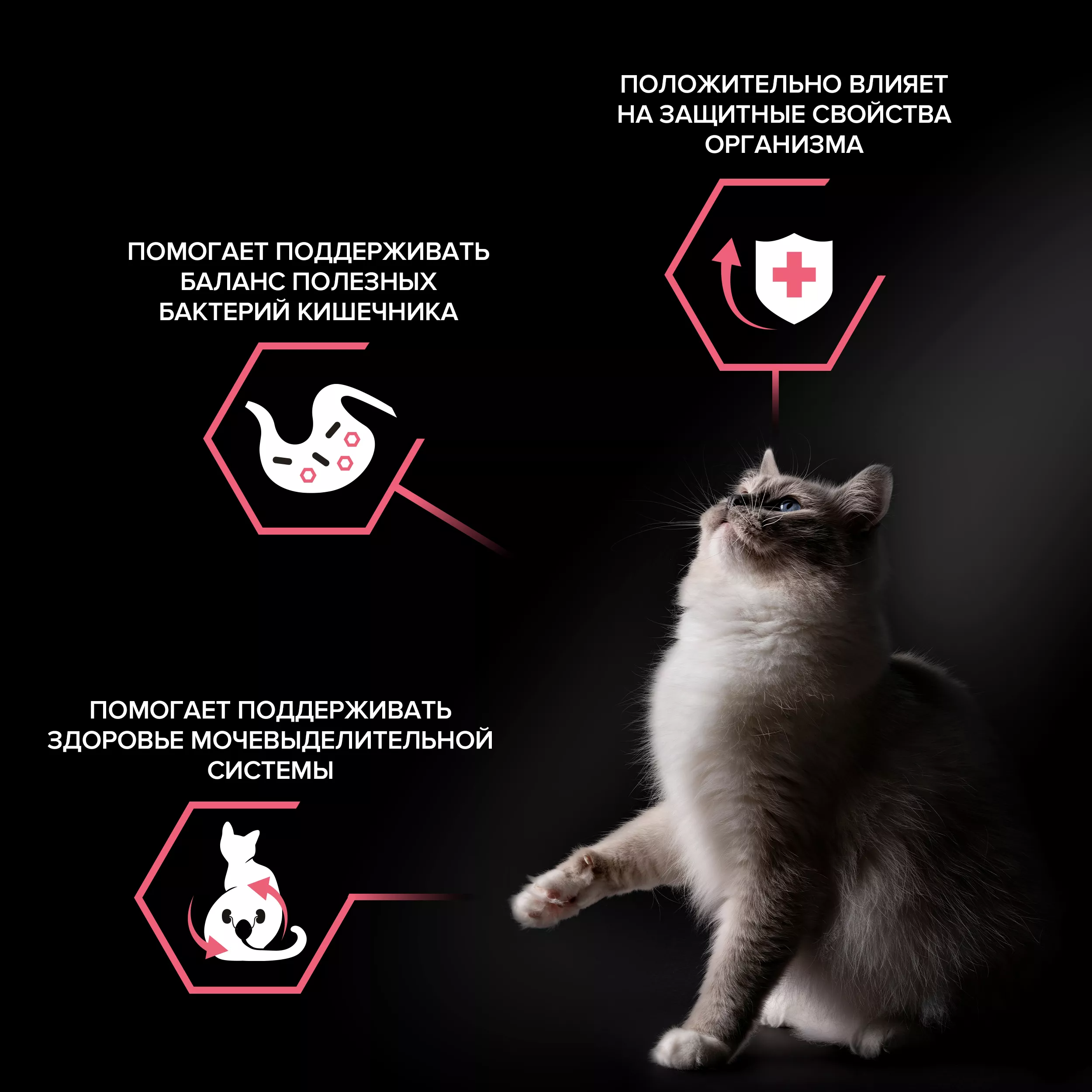 Сухой корм PRO PLAN Nature Elements STERILISED для стерилизованных кошек с курицей, 1.4 кг
