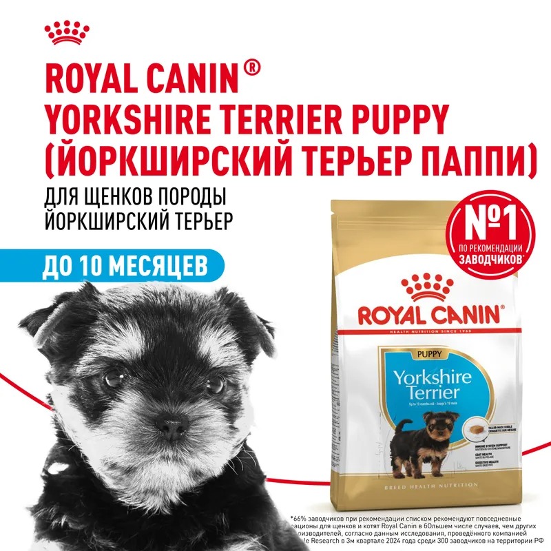 ROYAL CANIN Yorkshire Terrier Puppy Сухой корм для щенков Йорков 1,5 кг 4627109387908