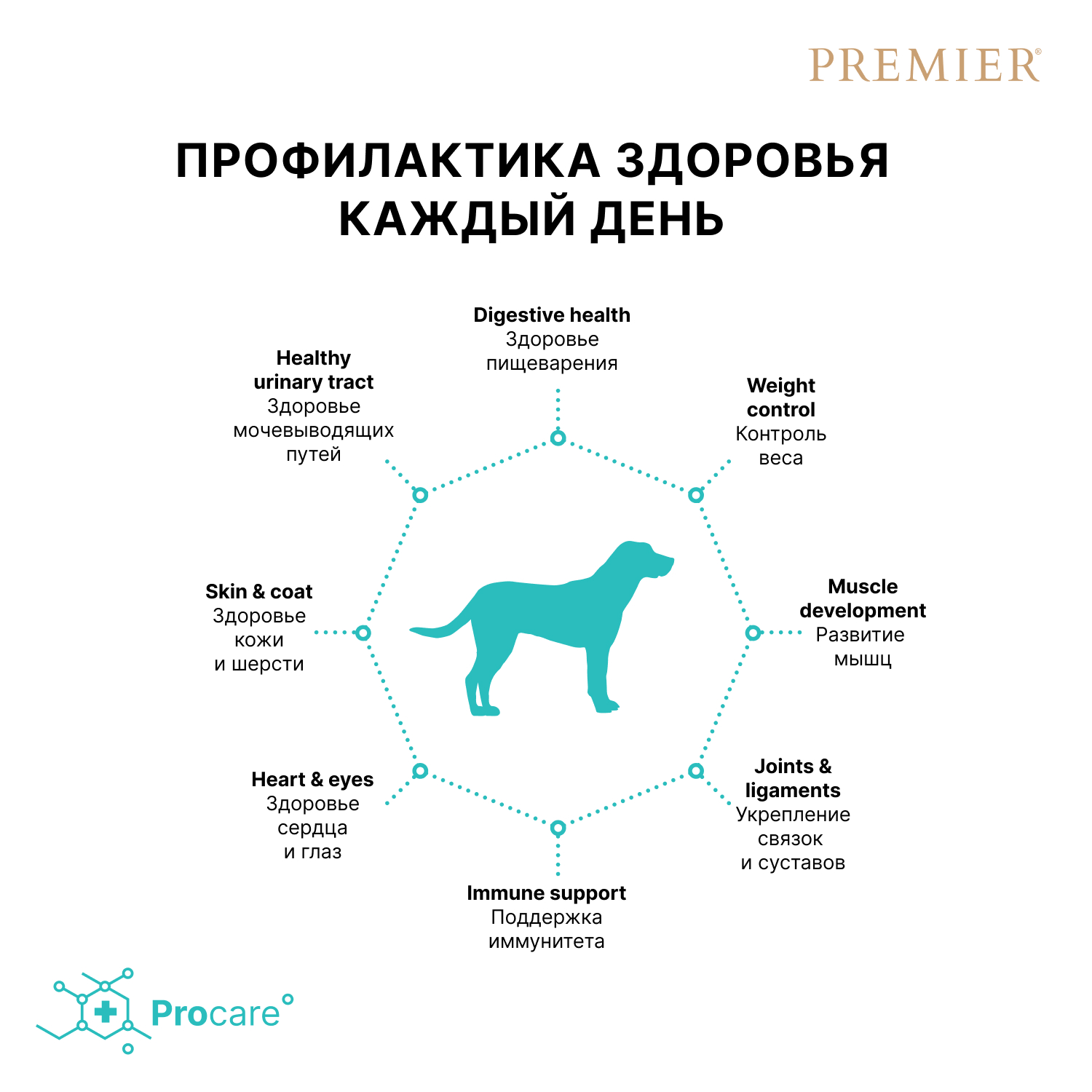 Premier Сухой корм для крупных собак с ягненком и индейкой 10 кг 5407007851522