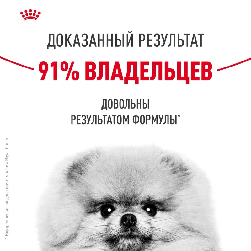 ROYAL CANIN Derma Корм для мелких собак при раздражениях и зуде кожи 1кг 4627150231571