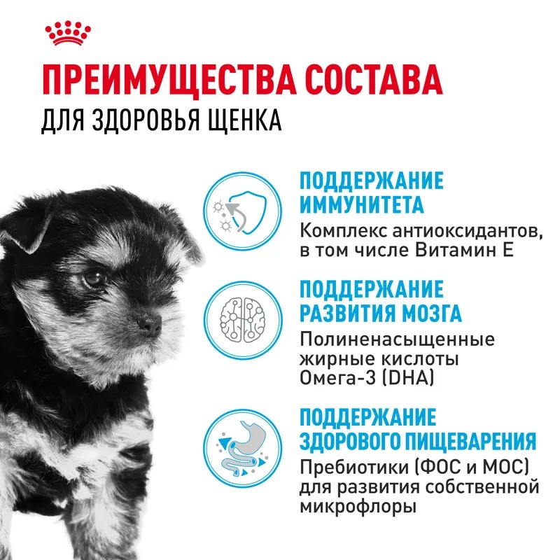 ROYAL CANIN Yorkshire Terrier Puppy Сухой корм для щенков Йорков 1,5 кг 4627109387908