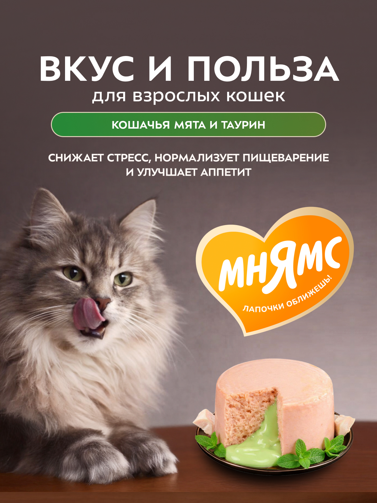 Влажный корм Мнямс Деликатес "Фондан" из мяса курицы с кошачьей мятой для кошек 80 г