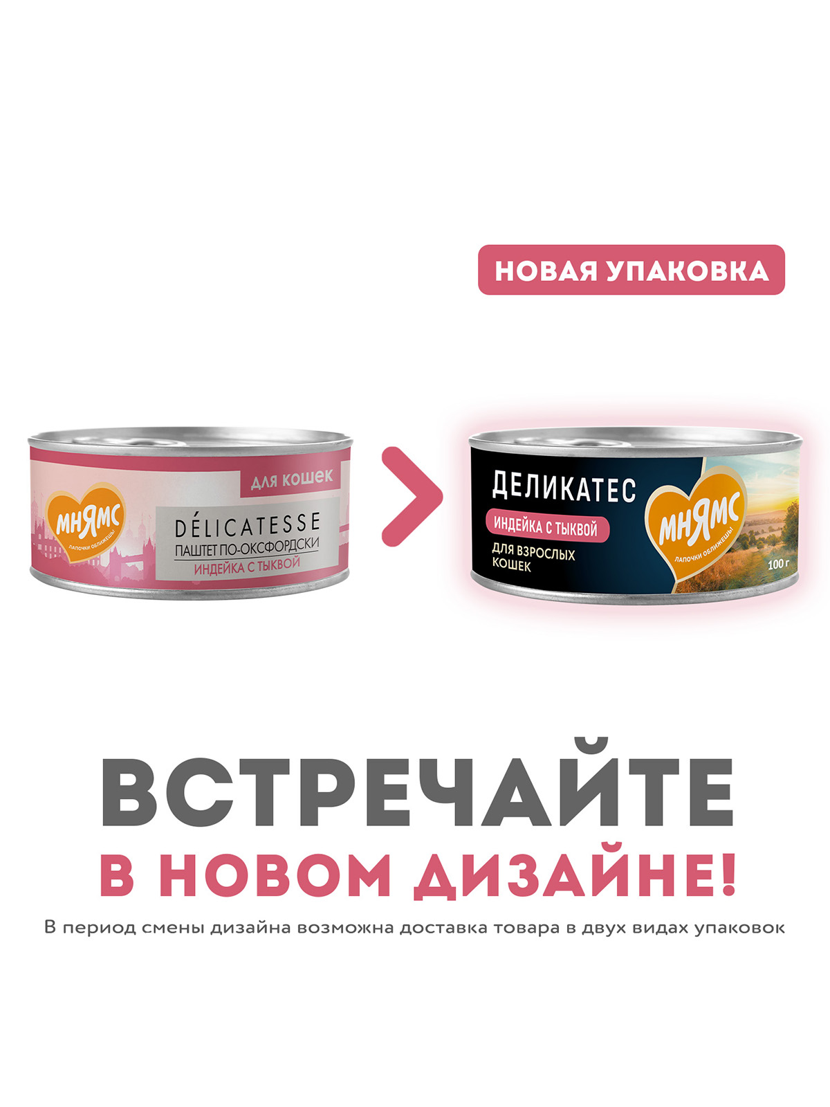 Мнямс Деликатес Влажный корм Паштет по-оксфордски, индейка с тыквой для кошек, 100 г