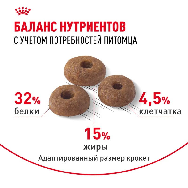 ROYAL CANIN Корм сухой Fit 32 для взрослых кошек 2 кг 4627109380572