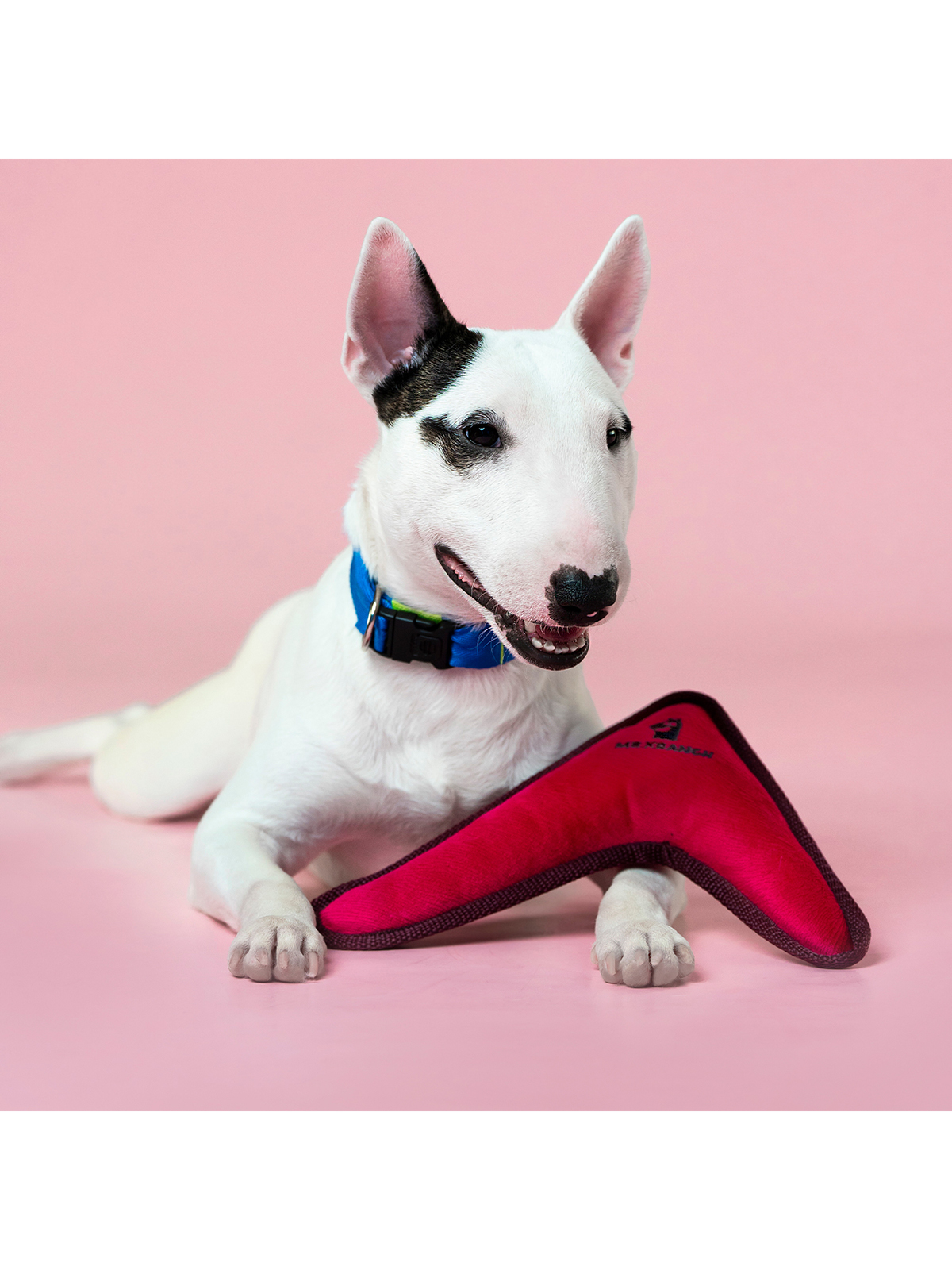 Игрушка Mr.Kranch для собак мелких и средних пород Бумеранг с пищалкой 22х19х4,5см, розовый