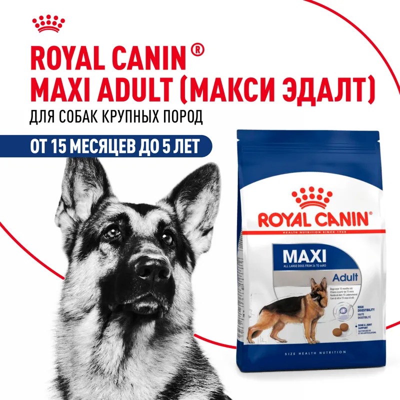 ROYAL CANIN Maxi Adult Корм для собак крупных пород 15 кг 4627109384891
