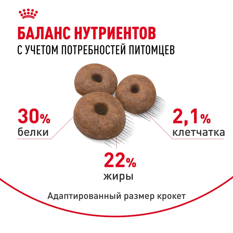 Сухой корм Royal Canin Giant Starter (Джайнт Стартер) для щенков очень крупных размеров до 2-х месяцев, беременных и кормящих сук, 15 кг
