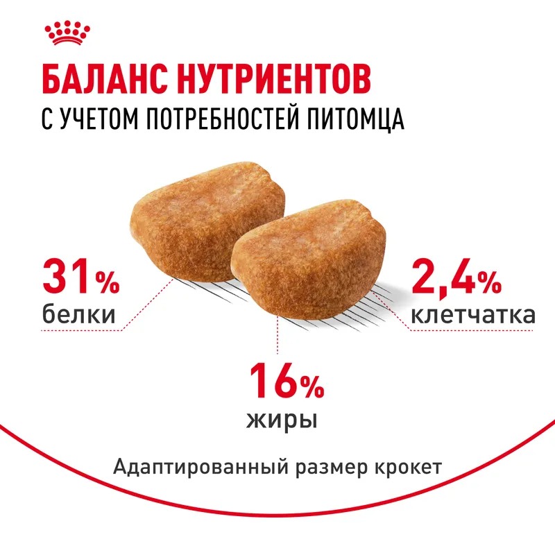 Сухой корм для щенков Royal Canin Rottweiler Puppy, для породы Ротвейлер 12 кг