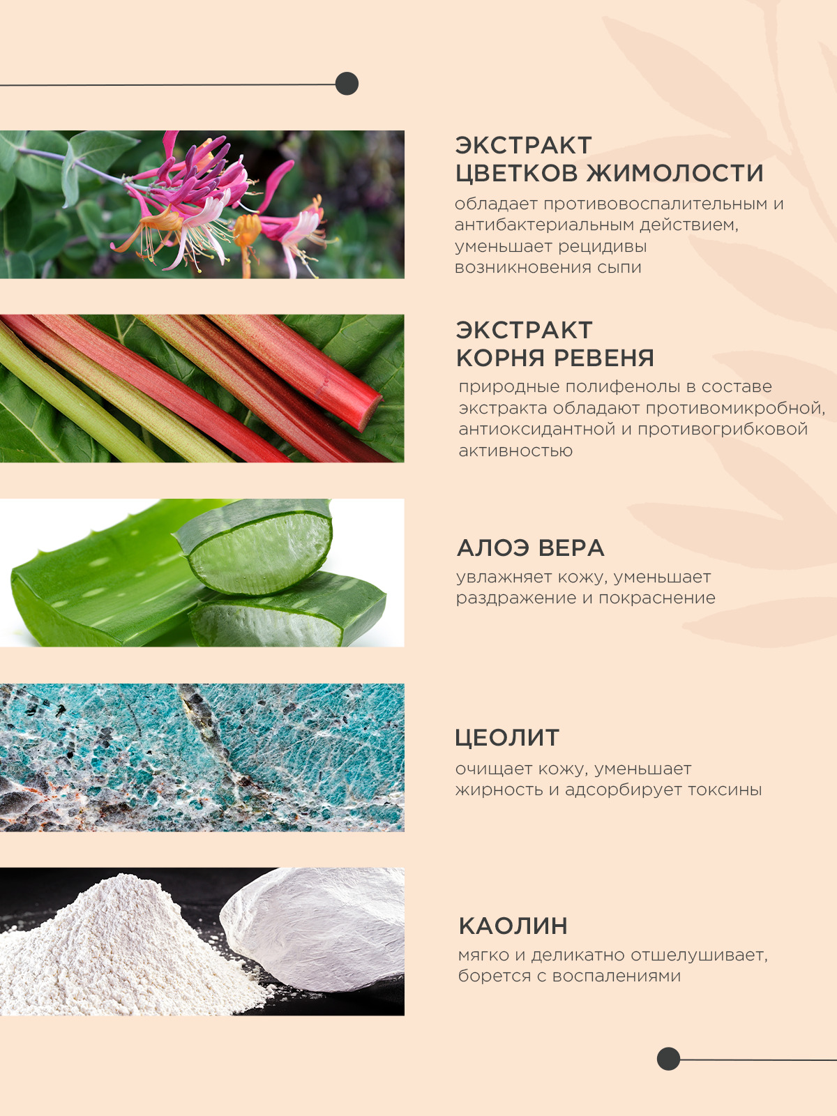 Сухой шампунь ProPhyto DRY WASH CLASSIC (порошок)  для блеска и мягкости шерсти собак, 100 г